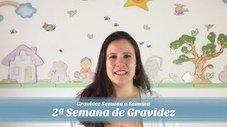 2ª Semana de gravidez [upl. by Aihsela]