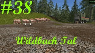 LP38 Wildbach Tal LS17 Jetzt doch Paletten [upl. by Mercado266]