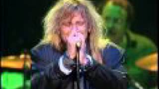 Cheap Trick  Hot Love  live Daytona 1988 [upl. by Vergos947]