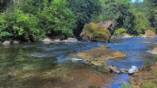 The sound of gurgling water flowing is clear and calm for therapy and relaxation of the mind [upl. by Sifan]