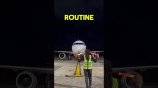 How an Aircraft Park  Marshalling [upl. by Anerec]