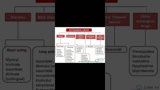 Antianginal drug classification Antianginalangina pectoris treatmentclassification of Antianginal [upl. by Erminia]