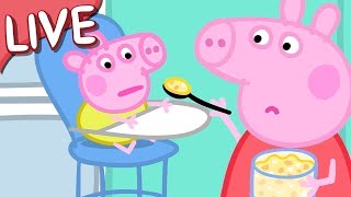 Peppa Pig 🍼 Baby Alexander FULL EPISODES 🌈 Kids Videos LIVE 🔴 [upl. by Janel387]