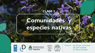 Comunidades y especies vegetales nativas de Buenos Aires 🍃 [upl. by Rock]