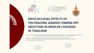 Anticoccidial effects of toltrazuril against eimeria spp infection in broiler chickensin thailand [upl. by Scornik]