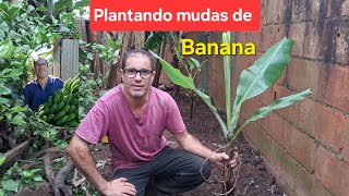 PLANTIO MUDAS DE BANANA NANICA hortalicaalencar [upl. by Airdnas837]