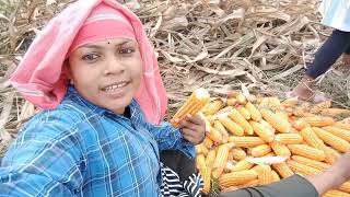 Dekhlo Makka Kaise Todate Hai 🤔 ll Saanvi Lifestyle Vlog ll Bastar Chhattisgarh Jagadalapur [upl. by Nohsed945]