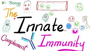 The Innate Immunity and the Complement System  Immunology [upl. by Inaleon194]