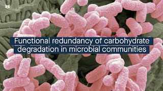 Quantifying the functional redundancy of carbohydratedegrading proteins in microbial communities [upl. by Digirb]