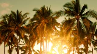 Baz Luhrmann  Wear Sunscreen Mau Kilaueas Tropical Remix [upl. by Ashlan]