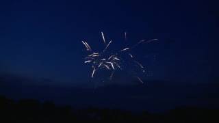 CB30Z2540 Color Palm Pyrotrade fireworks [upl. by Ecertak]