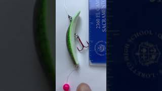 Flatfish  Kwikfish Modification for Kokanee Fishing Fishing Shorts Kokanee [upl. by Puglia]