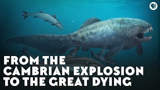 From the Cambrian Explosion to the Great Dying [upl. by Ajiram]