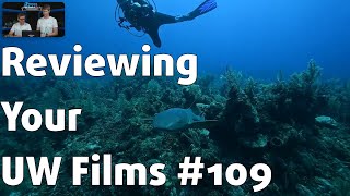 Reviewing YOUR UNDERWATER FILMS 109 ⎮ Ben Palmer [upl. by Ethelda]