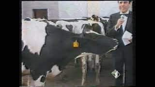 Teo Teocoli e Zuzzurro  Reportage sul Latte materno Emilio  1989 [upl. by Anya]