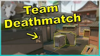 Everything You Need To Know About Team Deathmatch [upl. by Nebuer604]