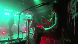 PESTLEGION  Land of Frost Live at Rhein in Blood XXV [upl. by Tnomyar95]