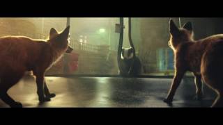 John Lewis Trampoline Christmas Advert [upl. by Ellebanna615]