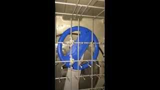 Inside a wash cycle on a Frigidaire Dishwasher [upl. by Haimarej]