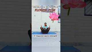 How Flower Pose Can Change Your Life shorts yoga [upl. by Aurlie]