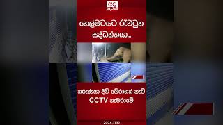 හෙල්මටයට රැවටුන සද්ධන්තයා තරුණයා දිවි බේරාගත් හැටි CCTV කැමරාවේ cctv elephant [upl. by Notrab31]