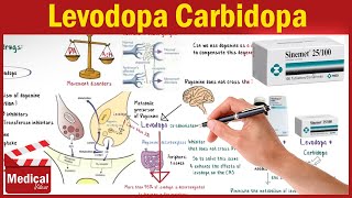 Pharmacology CNS 3 Parkinsons Disease Treatment Part 1 Levodopa Carbidopa and Benserazide [upl. by Malinde]