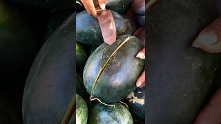 Fresh watermelon watermelon watermelon juicesatisfying viralvideo asmrvideo fruit shorts [upl. by Devina]