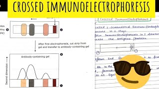 Crossed Immunoelectrophoresis 😎😎Immunotechniques [upl. by Fisa]