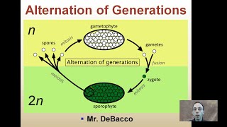 Alternation of Generations [upl. by Kempe]