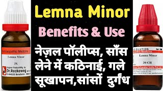 Lemna Minor Homeopathic Medicine Lemna Minor 36302001M लेमना माइनर होमियोपैथीक दावा का फायदे। [upl. by Aibonez940]