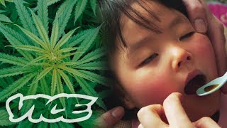 大麻で難病を治す「医療大麻」最前線  Medicinal Marijuana in Japan [upl. by Ddart986]