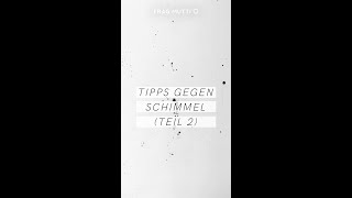 Tipps gegen Schimmel Teil 2 🍄💧🚫 [upl. by Artenehs]