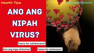 Ano ang Nipah virus  Signs and Symptoms  Health Tips 11 Tagalog [upl. by Srevart269]