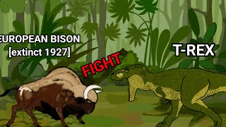 European bison vs trex animation–all animation drowingcartoon2 dc2 [upl. by Octavie]