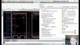 AutoCAD Video Tips Customize Your AutoCAD Cursor Lynn AllenCadalyst Magazine [upl. by Nihahs]