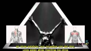 Music Exposed Part 4 subtitulado al español [upl. by Boswell]