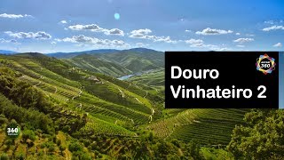 DOURO VINHATEIRO 2 🍷 PORTUGAL [upl. by Gonick304]