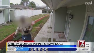 Utility worker pepper sprays dogs [upl. by Lyrem]