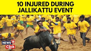 Madurai Jallikattu 2024  Jallikattu Bull Taming Madurai 10 Injured In Palamedu Event  N18V [upl. by Pul]