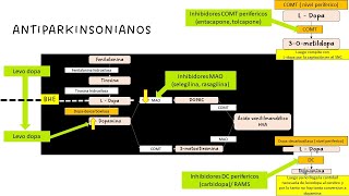 ANTIPARKINSONIANOS [upl. by Adoc724]