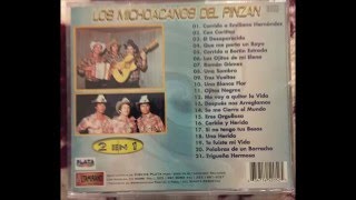 Los Michoacanos del Pinzan corridos y Rancheras [upl. by Etem146]