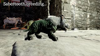 Sabertooth taming and breeding  Sabertooth evcilleştirme  Ark mobile 42 [upl. by Yert847]