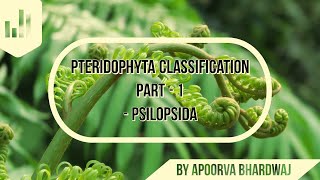 Pteridophyta Classification part1 Psilopsida 2nd year botany HD TT biology Daily Classes [upl. by Ahsyekal]