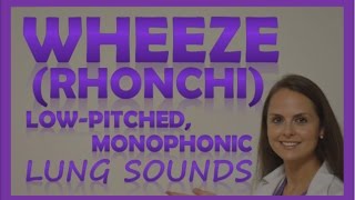 Wheezes Lung Sounds Monophonic Rhonchi Breath Sounds Abnormal Sonorous Wheeze [upl. by Suryc]