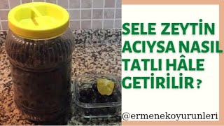 SELE ZEYTİN ACISI NASIL GİDERİLİR [upl. by Maximo]