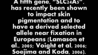 The Genetics of Skin Color Is Pale Skin Related to Albinism [upl. by Liuqa]
