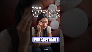 ⚠️how does paracetamol work in human body  fever1 [upl. by Nerek492]