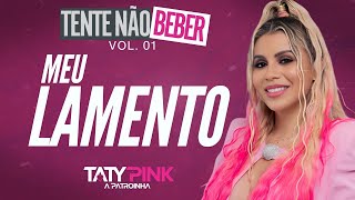 TATY PINK  REPERTÓRIO MEU LAMENTO 2024 [upl. by Paugh]