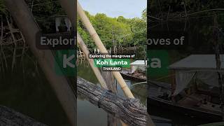 Ko Lanta Thailand  Mangrove Longtail Boat Tour [upl. by Burnsed]