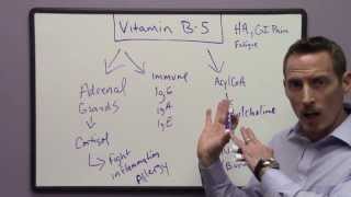 Signs and Symptoms of Vitamin B5 Deficiency [upl. by Burty]